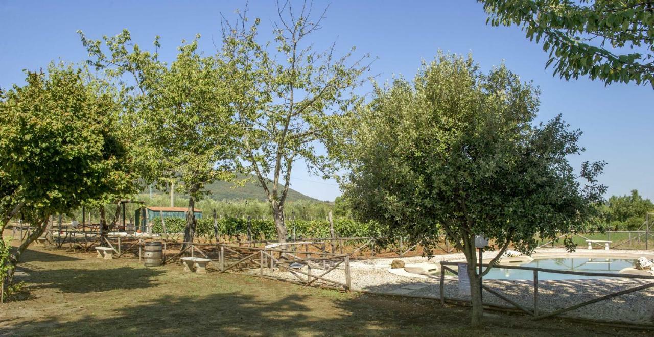 Marisma Βίλα Ravi Εξωτερικό φωτογραφία